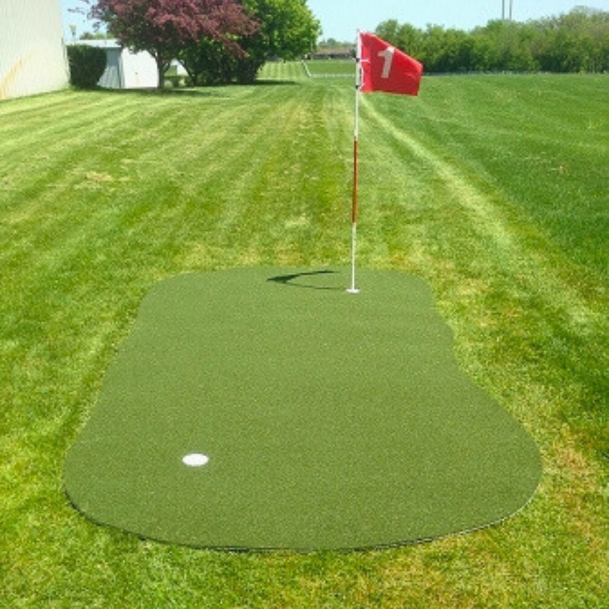 Big Moss Outdoor Putting & Target Green